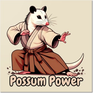 Aikido possum Posters and Art